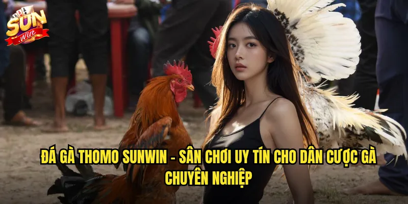 Đá gà thomo sunwin - Trường gà Campuchia nổi tiếng trực tiếp 24/7 2 Đá gà thomo sunwin - Sân chơi uy tín cho dân cược gà chuyên nghiệp