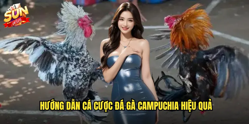 Hướng dẫn cá cược đá gà campuchia hiệu quả