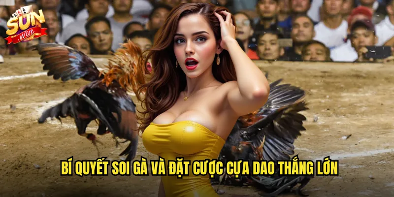 Sunwin đá gà cựa dao - Trận chiến tốc độ với lưỡi dao chết chóc 3 Bí quyết soi gà và đặt cược cựa dao thắng lớn