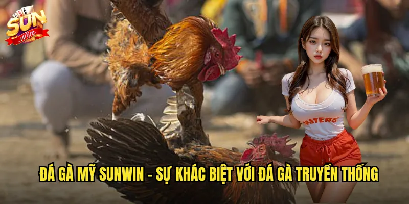 Đá gà mỹ sunwin - Phong cách Mỹ đậm chất võ thuật và chuyên nghiệp 2 Đá gà mỹ sunwin - Sự khác biệt với đá gà truyền thống
