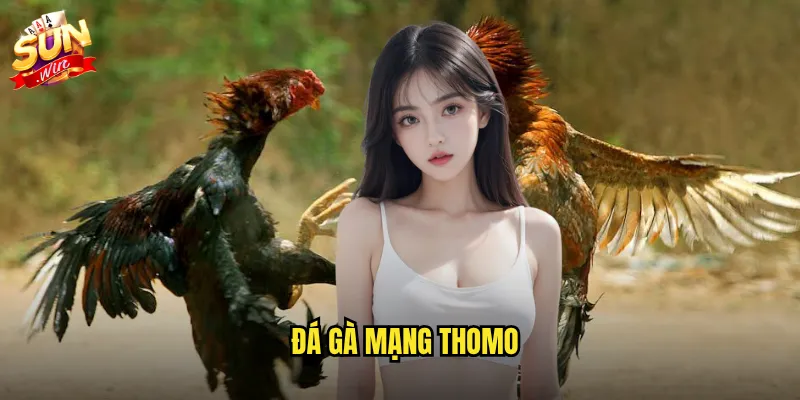 đá gà mạng thomo