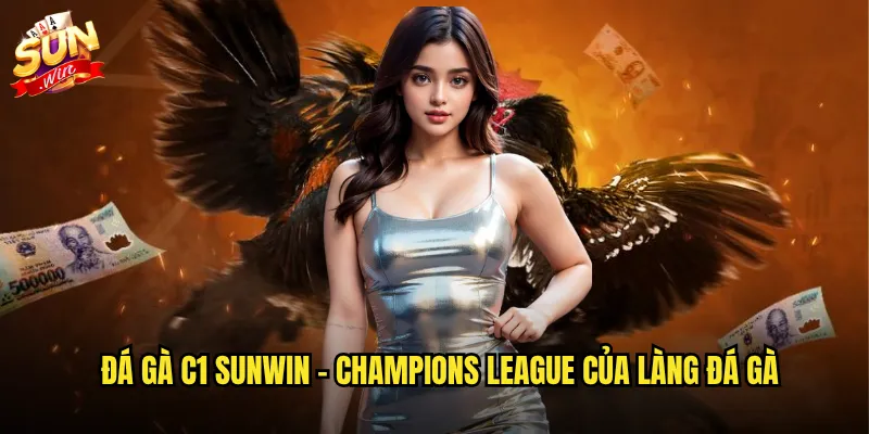 Sunwin đá gà C1 - Giải đấu gà hạng nhất với phần thưởng khủng 2 Đá gà C1 sunwin - Champions League của làng đá gà