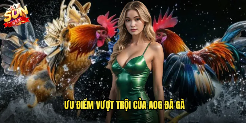 AOG đá gà sunwin - Hệ thống đá gà trực tuyến hàng đầu châu Á 3 Ưu điểm vượt trội của AOG đá gà