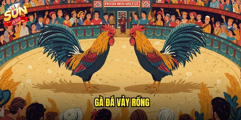 Gà đá vảy rồng sunwin - Giống gà quý hiếm với sức chiến đấu phi thường 10 gà đá vảy rồng