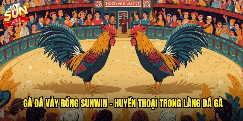 Gà đá vảy rồng sunwin - Giống gà quý hiếm với sức chiến đấu phi thường 2 Gà đá vảy rồng sunwin - Huyền thoại trong làng đá gà