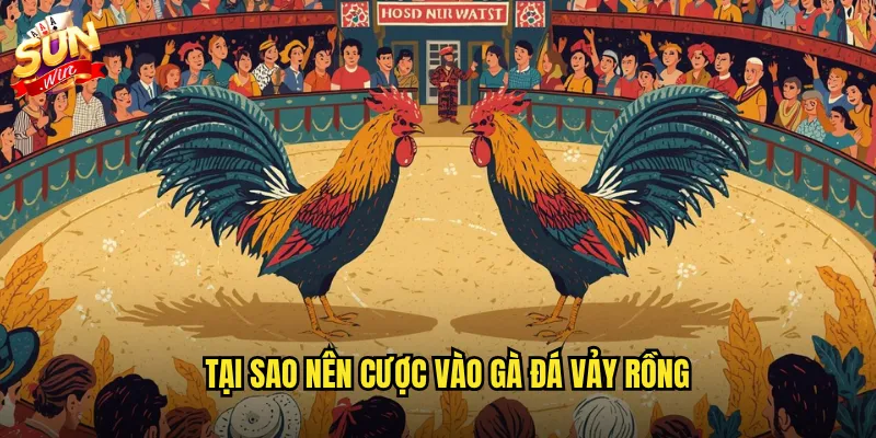Gà đá vảy rồng sunwin - Giống gà quý hiếm với sức chiến đấu phi thường 3 Tại sao nên cược vào gà đá vảy rồng