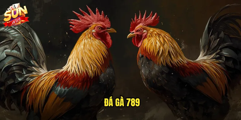Sunwin đá gà 789 - Thương hiệu đá gà uy tín với tỷ lệ kèo hấp dẫn 1 Đá gà 789