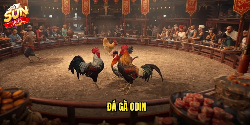 Đá Gà Odin Sunwin: Trải Nghiệm Đấu Trường Gà Thomo Đỉnh Cao Tại Cổng Game Uy Tín 19 đá gà Odin