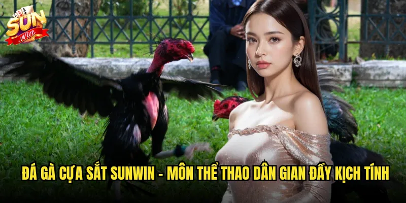 Đá gà cựa sắt sunwin - Môn thể thao dân gian đầy kịch tính