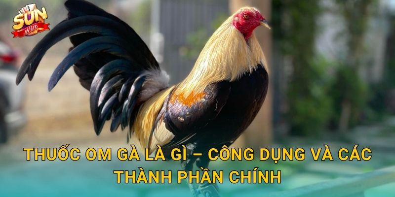 Thuốc Om Gà Sunwin – Bí Quyết Om Bóp Đúng Cách Giúp Gà Chiến Hồi Phục Nhanh 2 Thuốc Om Gà Là Gì – Công Dụng Và Các Thành Phần Chính