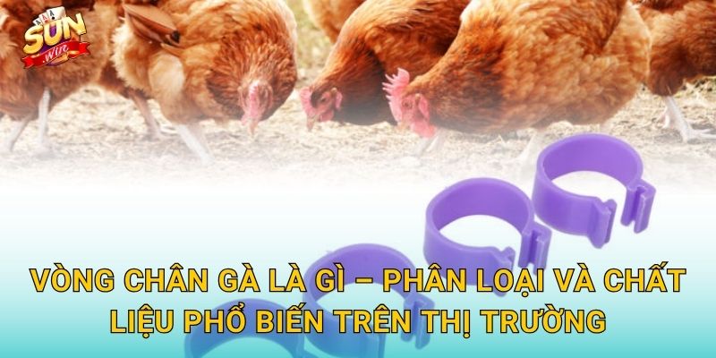 Vòng Chân Gà Là Gì – Phân Loại Và Chất Liệu Phổ Biến Trên Thị Trường