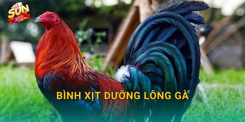 Bình Xịt Dưỡng Lông Gà Sunwin – Giữ Bộ Lông Chiến Kê Óng Mượt Và Khỏe Khoắn 25 Bình Xịt Dưỡng Lông Gà Sunwin – Giữ Bộ Lông Chiến Kê Óng Mượt Và Khỏe Khoắn