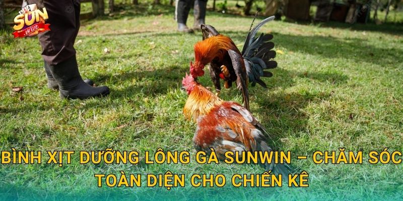 Bình Xịt Dưỡng Lông Gà Sunwin – Giữ Bộ Lông Chiến Kê Óng Mượt Và Khỏe Khoắn 3 Bình Xịt Dưỡng Lông Gà Sunwin – Chăm Sóc Toàn Diện Cho Chiến Kê