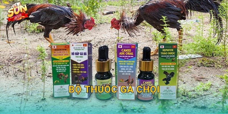 Bộ Thuốc Gà Chọi Sunwin – Trọn Bộ Dưỡng Chất Đưa Chiến Kê Lên Đỉnh Phong Độ 1 Bộ Thuốc Gà Chọi Sunwin – Trọn Bộ Dưỡng Chất Đưa Chiến Kê Lên Đỉnh Phong Độ