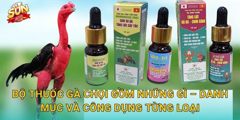 Bộ Thuốc Gà Chọi Sunwin – Trọn Bộ Dưỡng Chất Đưa Chiến Kê Lên Đỉnh Phong Độ 2 Bộ Thuốc Gà Chọi Gồm Những Gì – Danh Mục Và Công Dụng Từng Loại