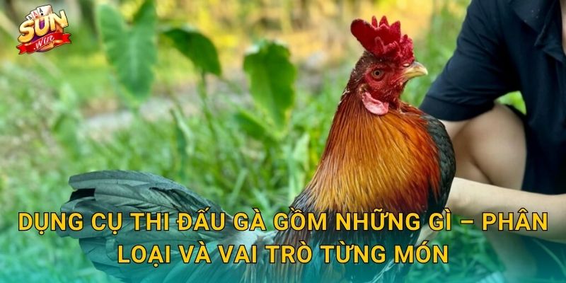 Dụng Cụ Thi Đấu Gà Sunwin – Trang Bị Đầy Đủ Trước Khi Bước Vào Đấu Trường 2 Dụng Cụ Thi Đấu Gà Gồm Những Gì – Phân Loại Và Vai Trò Từng Món