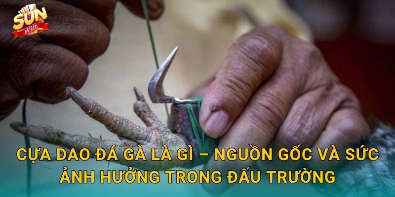 Cựa Dao Đá Gà Sunwin – Lưỡi Thép Sắc Bén Tạo Nên Những Trận Chiến Kinh Điển 2 Cựa Dao Đá Gà Là Gì – Nguồn Gốc Và Sức Ảnh Hưởng Trong Đấu Trường
