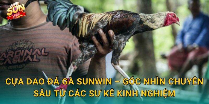 Cựa Dao Đá Gà Sunwin – Lưỡi Thép Sắc Bén Tạo Nên Những Trận Chiến Kinh Điển 3 Cựa Dao Đá Gà Sunwin – Góc Nhìn Chuyên Sâu Từ Các Sư Kê Kinh Nghiệm