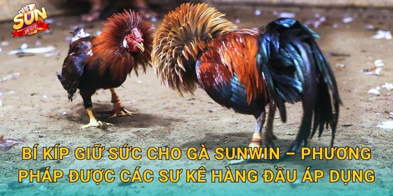 Bí Kíp Giữ Sức Cho Gà Sunwin – Duy Trì Thể Trạng Đỉnh Cao Suốt Mùa Thi Đấu 3 Bí Kíp Giữ Sức Cho Gà Sunwin – Phương Pháp Được Các Sư Kê Hàng Đầu Áp Dụng