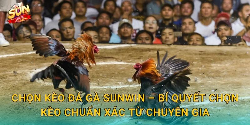 Chọn Kèo Đá Gà Sunwin – Nghệ Thuật Đọc Kèo Của Tay Cược Lão Luyện 3 Chọn Kèo Đá Gà Sunwin – Bí Quyết Chọn Kèo Chuẩn Xác Từ Chuyên Gia