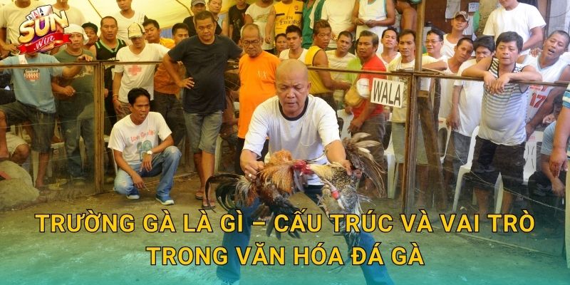 Đá Gà Trường Gà Sunwin – Không Khí Sòng Chiến Thực Thụ Ngay Trên Màn Hình 2 Trường Gà Là Gì – Cấu Trúc Và Vai Trò Trong Văn Hóa Đá Gà