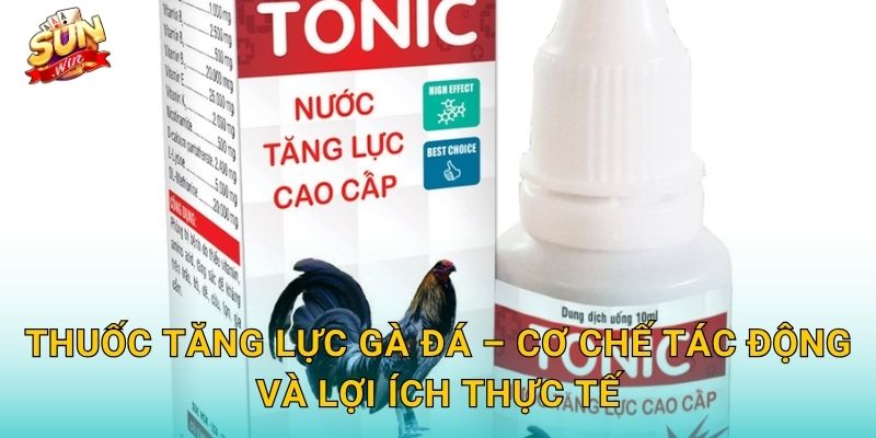 Thuốc Tăng Lực Gà Đá – Cơ Chế Tác Động Và Lợi Ích Thực Tế