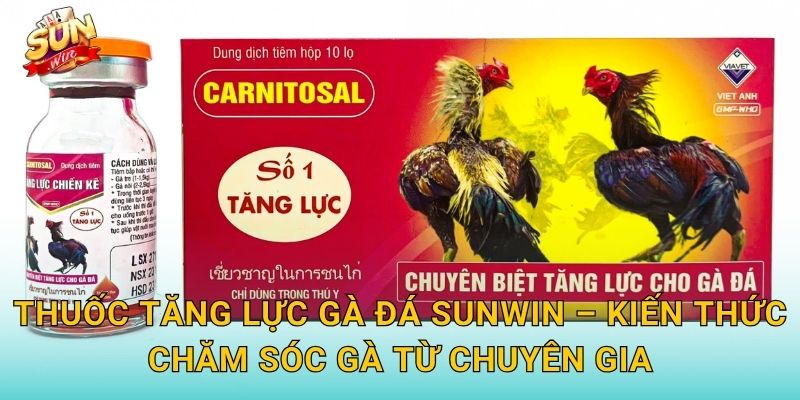 Thuốc Tăng Lực Gà Đá Sunwin – Kiến Thức Chăm Sóc Gà Từ Chuyên Gia